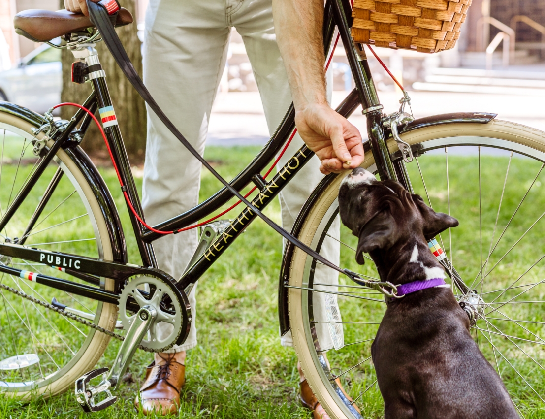 A man with a bike giving a treat to his puppy.