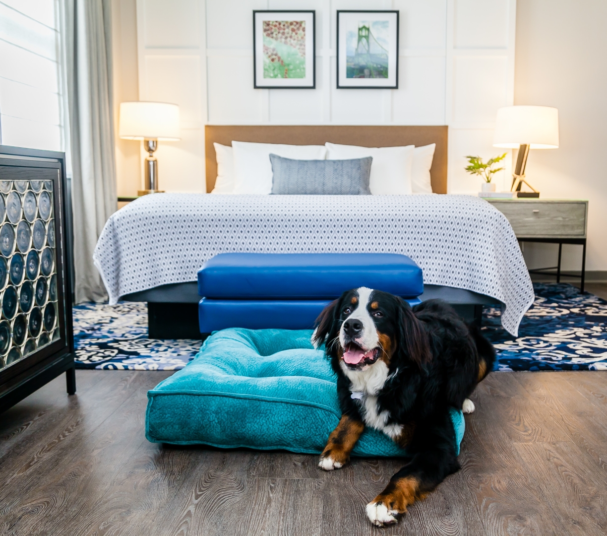 A bernese mountain dog on a pet bed in a suite at the Heathman Hotel in Portland.