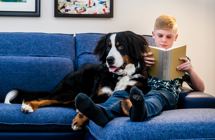 A boy reading book with his dog
