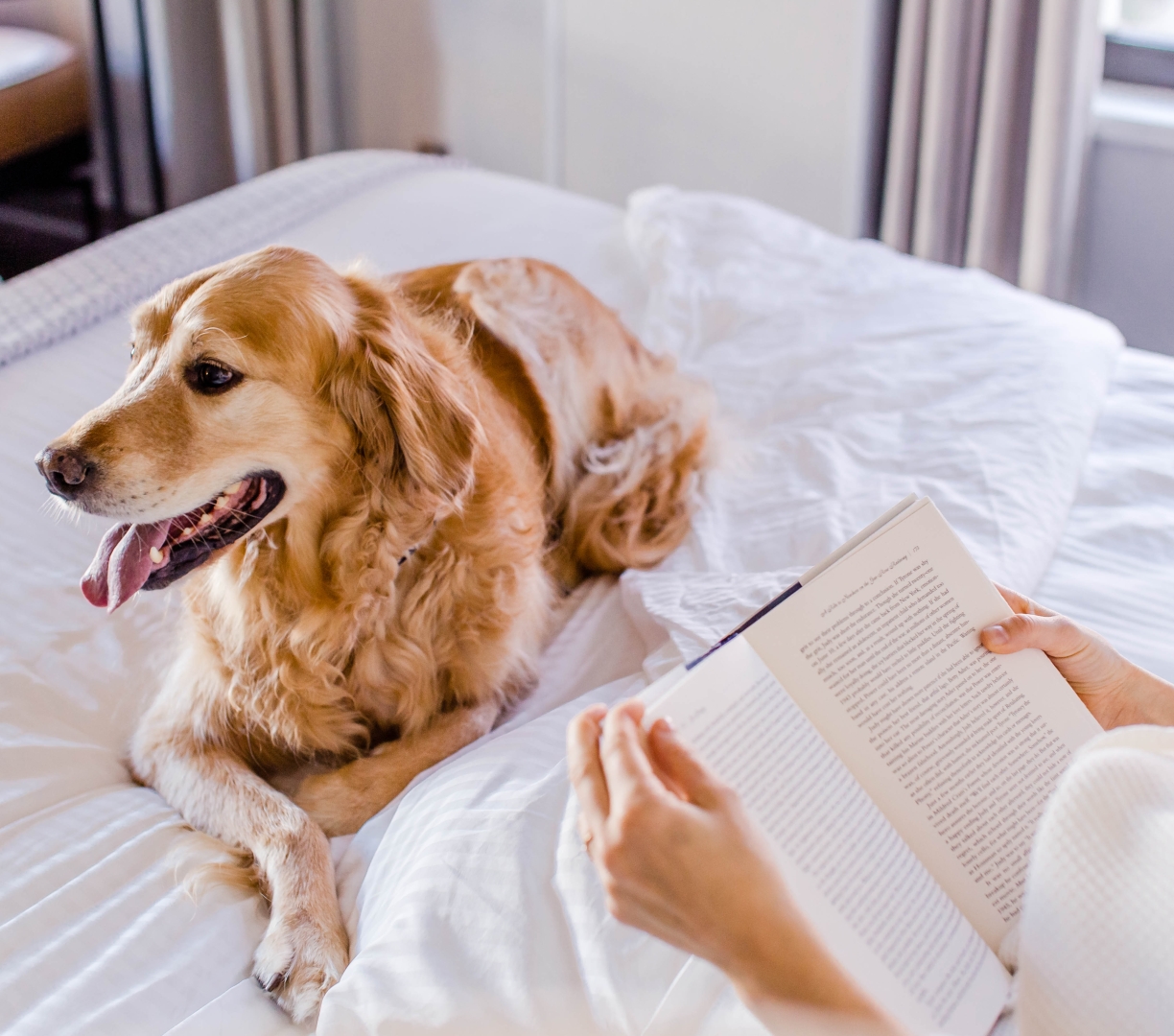 A woman reading in bed with her dog.
